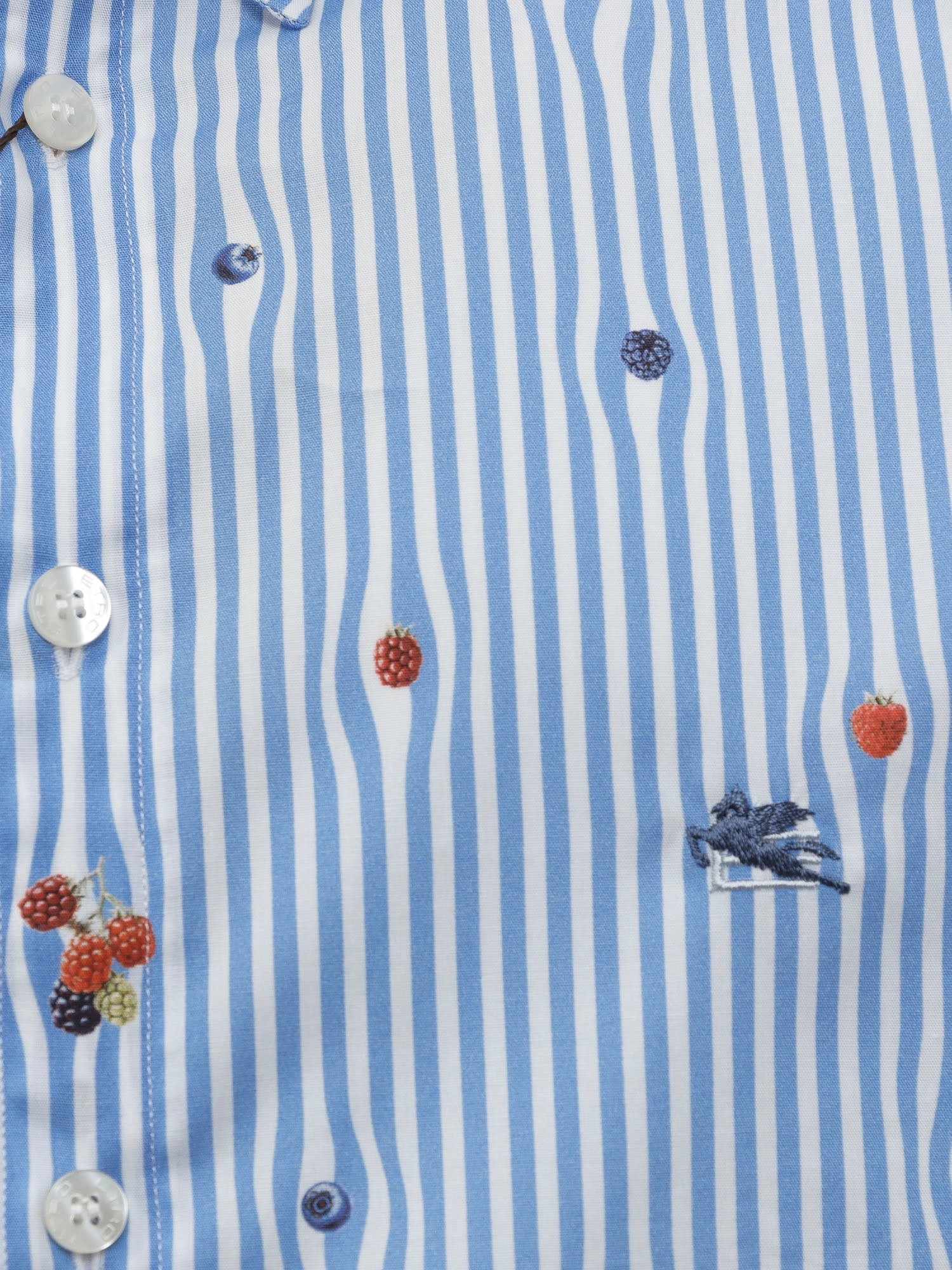 Etro Logo Embroidered Striped Shirt