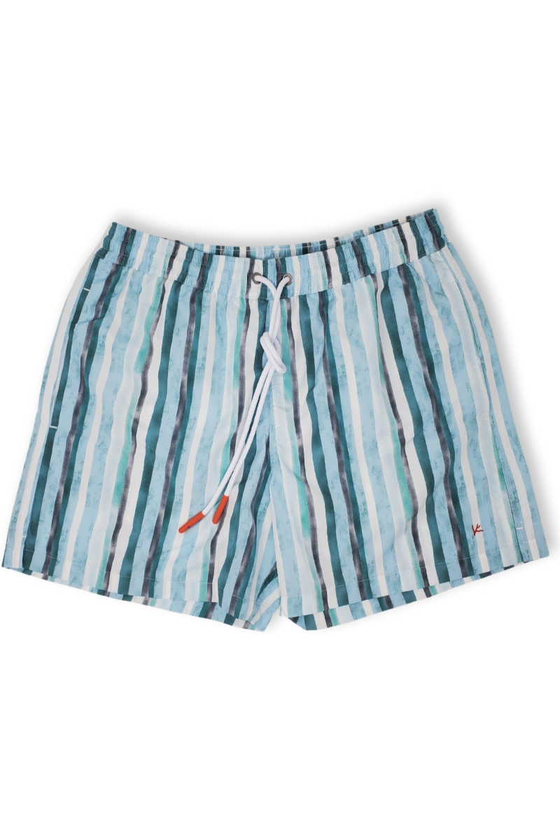 Green Stripe Swim Shorts