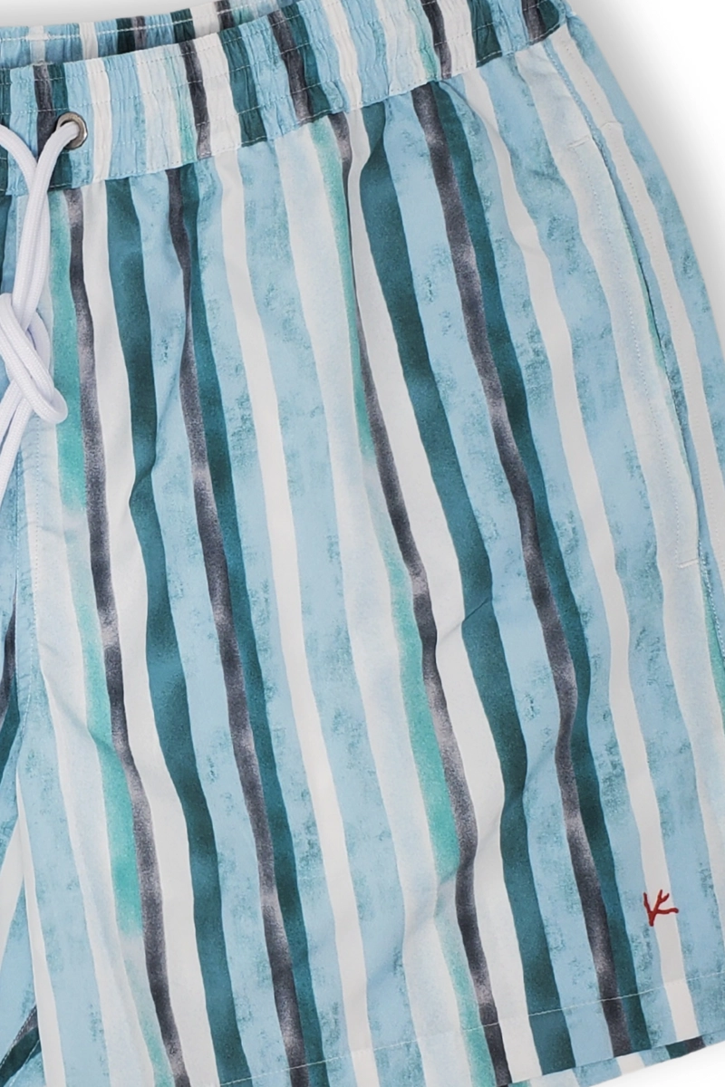 Green Stripe Swim Shorts
