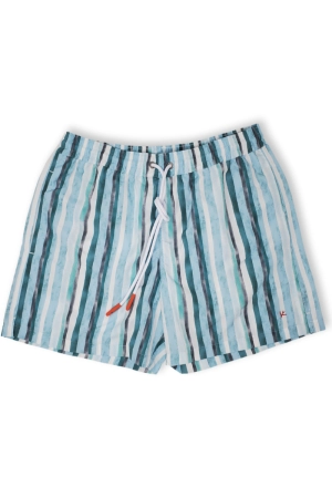 Green Stripe Swim Shorts