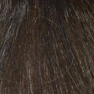 Kitana Wig by Envy | Synthetic (Mono Top)