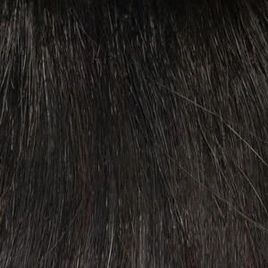 Kitana Wig by Envy | Synthetic (Mono Top)