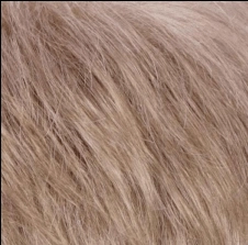 Petite Kate Wig by Estetica Designs | Synthetic (Traditional Cap)