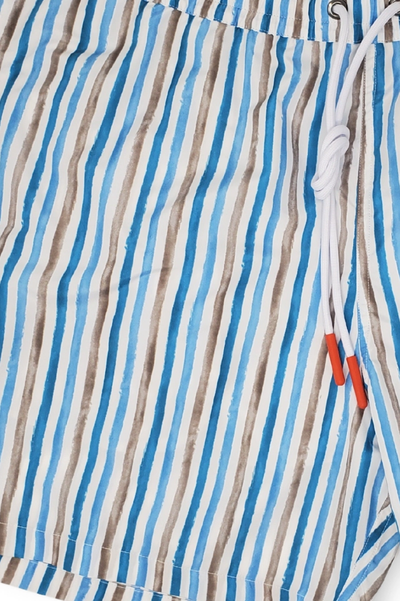 Stripe Swim Shorts