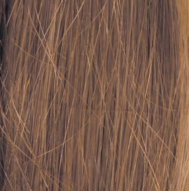 Stunner Wig by Raquel Welch | Human Hair (100% Hand Knotted Lace Front Mono Top)