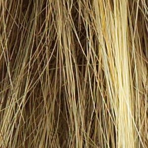 Trend Setter Wig by Raquel Welch | Synthetic (Traditional Cap)